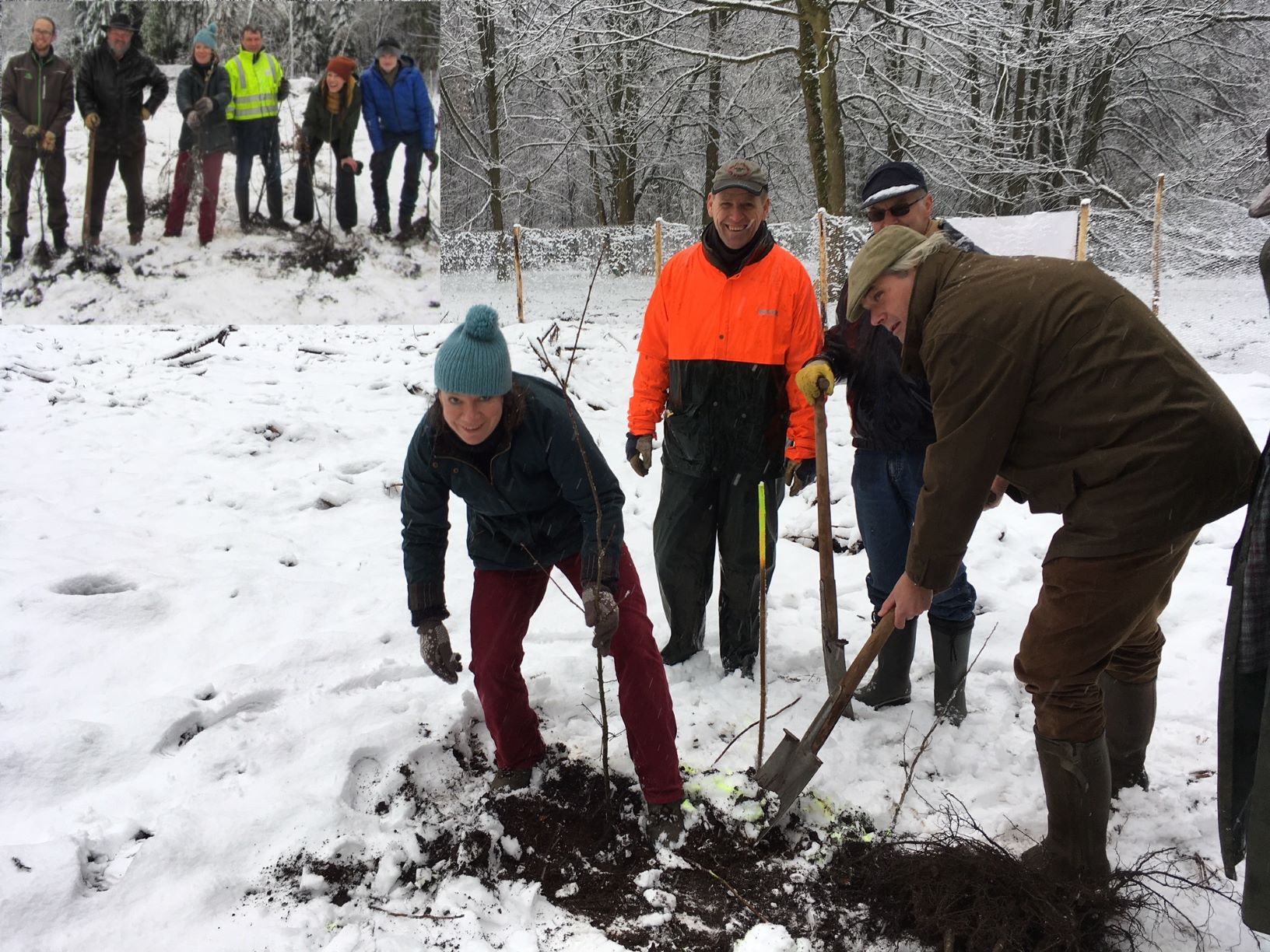 Burgemeester Liesbeth Verstreken en schepen Danny Van de Velde werken mee aan boomplanting